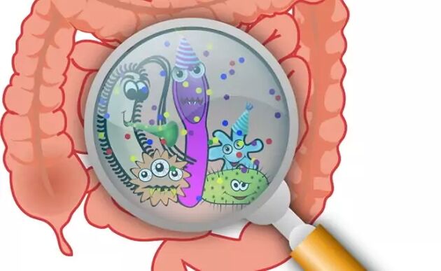 Parasitas no intestino